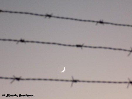 BEATRIZ HENRIQUES - EXIF: COOLPIX L340 | ISO 400 | f/5.4 | 1/4